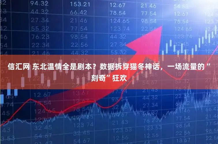 信汇网 东北温情全是剧本?数据拆穿猫冬神话,一场流量的“刻奇”狂欢