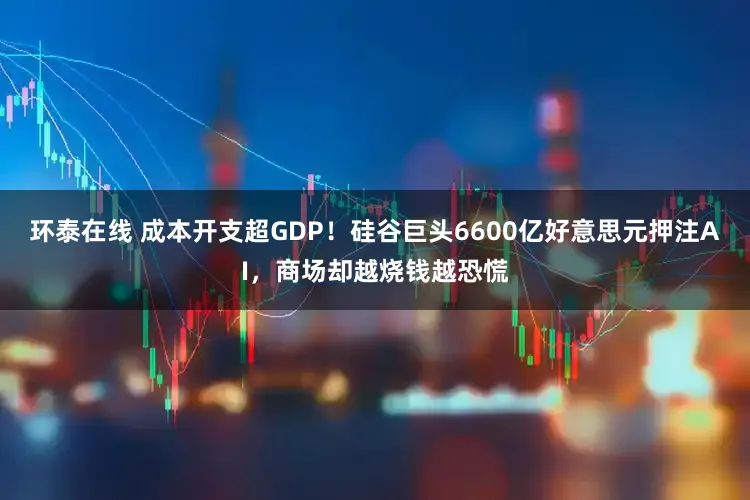 环泰在线 成本开支超GDP！硅谷巨头6600亿好意思元押注AI，商场却越烧钱越恐慌