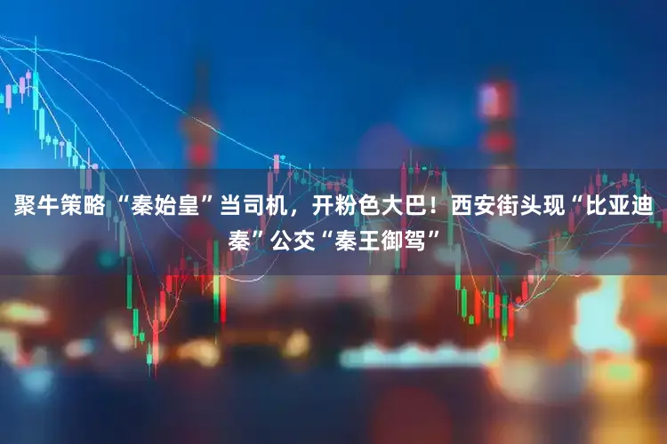 聚牛策略 “秦始皇”当司机,开粉色大巴!西安街头现“比亚迪秦”公交“秦王御驾”