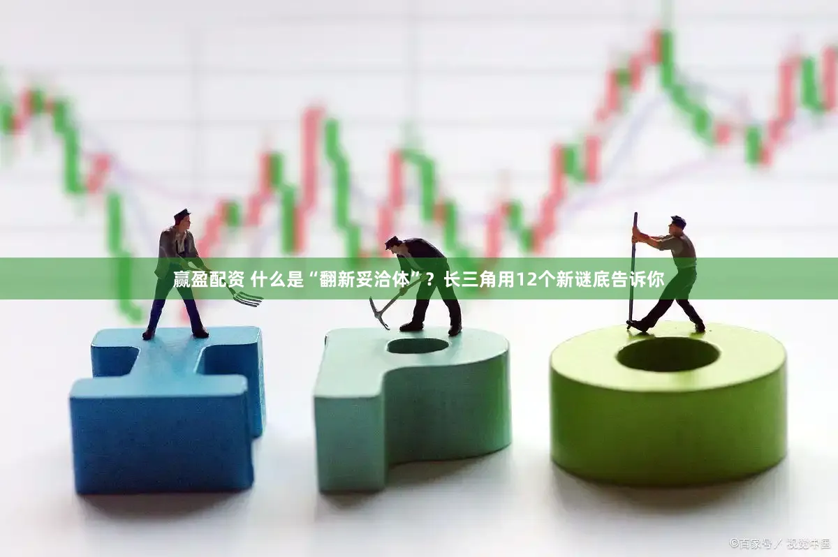赢盈配资 什么是“翻新妥洽体”？长三角用12个新谜底告诉你